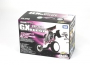 TAKARA TOMY ARXX Aero 1/32 2WD 2.4Ghz GX Buggy (Racing Purple)