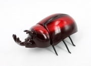 Beetles Story Infrared Controlled Beetles (Megasoma Mars)