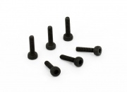 Cap Screw (M2*8) for SJM