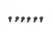 Cap Screw (M2*4) for SJM