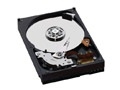 Hard Drives