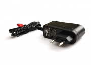 Charger (4.2V500mA) for 5#10