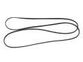 Drive Belt for Belt-CP / V2