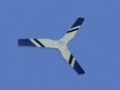 Tail Rotor Blade for 5#10