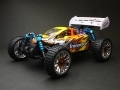 2.4G HSP Racing (94185Pro) TROIAN 1/16 Brushless Electric Buggy Ready-To-Run Package